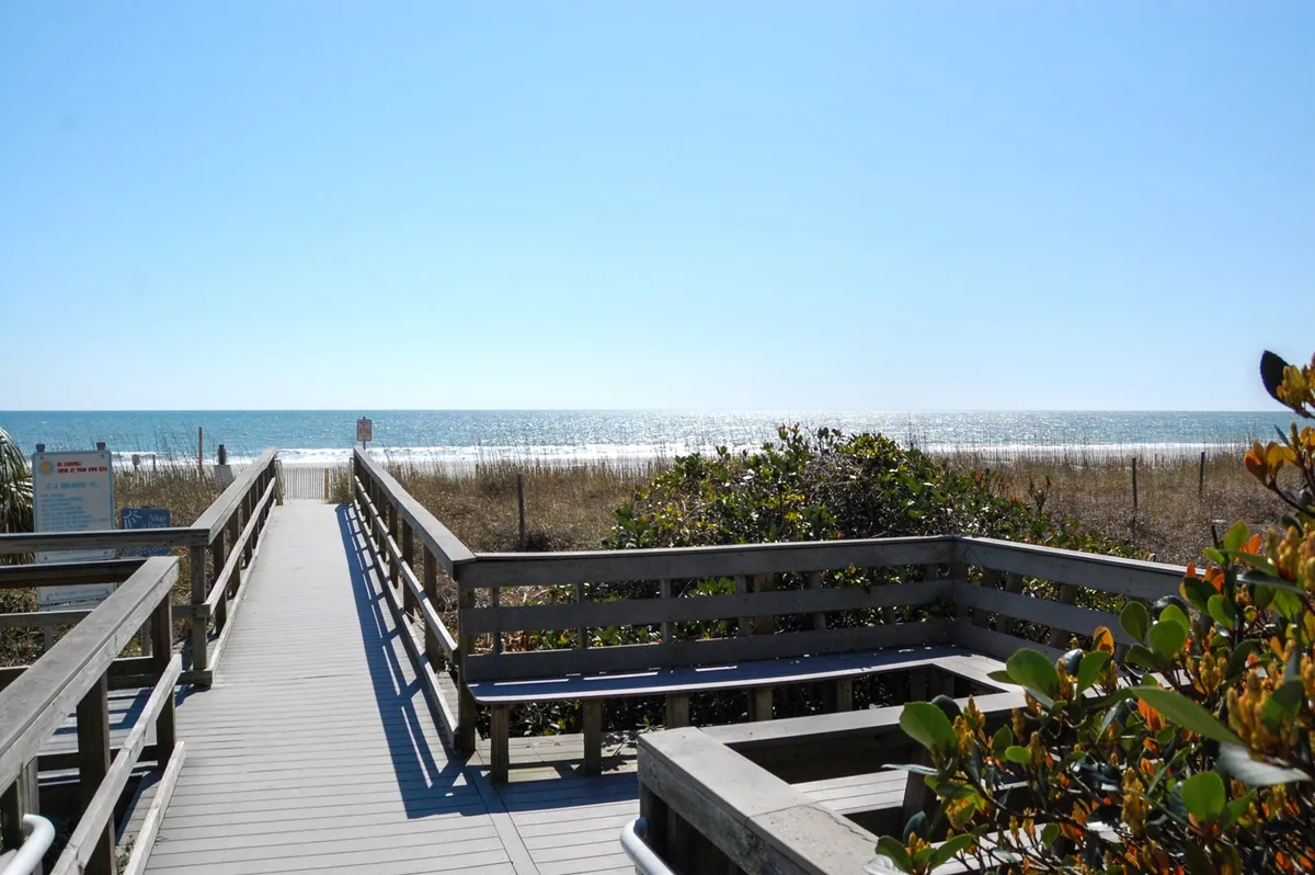 A welcoming wooden boardwalk leads over sand dunes towards the vast ocean, bordered by lush coastal vegetation. The view invokes the experience of walking to the shore, enhancing the sense of accessibility and adventure.